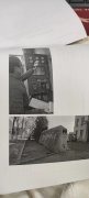 南京松雪钢材贸易有限公司 项目公示信息